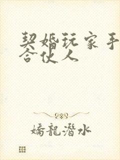 契婚玩家手册之合伙人