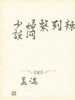 少妇系列辣文小说网