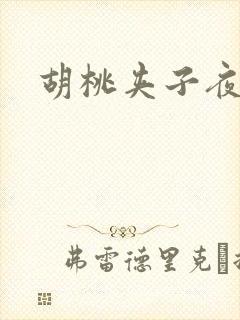 胡桃夹子夜未眠