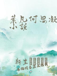 叶凡何思凝七月小说