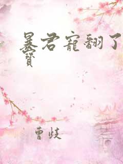 暴君宠翻了小娇宝