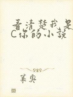 看清楚我是怎么C你的小说