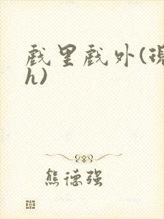 戏里戏外(现场h)