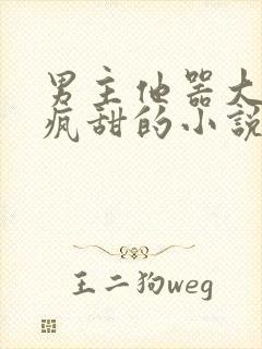 男主他器大活好疯甜的小说