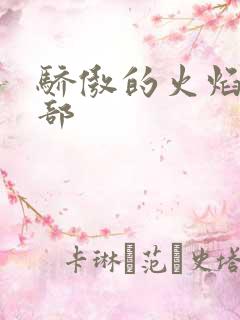 骄傲的火焰第二部