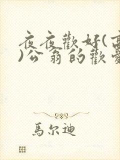 夜夜欢好(高h)公翁的欢爱