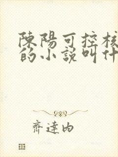 陈阳可控核聚变的小说叫什么名字