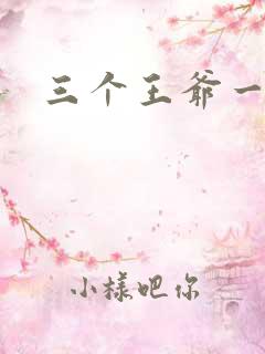 三个王爷一个妃