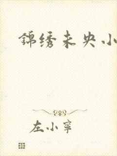 锦绣未央小说