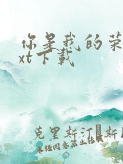 你是我的荣耀txt下载