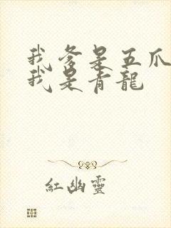 我爹是五爪金龙我是青龙