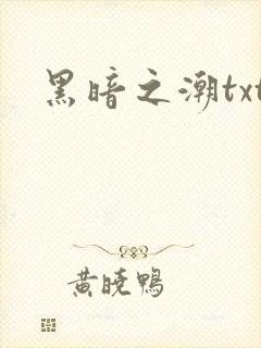 黑暗之潮txt