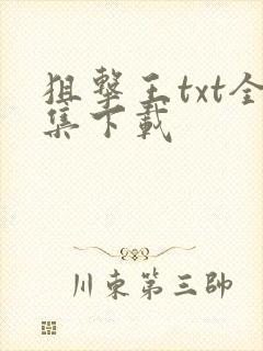 狙击王txt全集下载