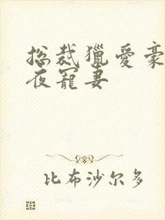 总裁猎爱豪门一夜宠妻