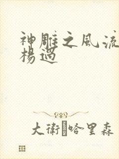 神雕之风流浪子杨过