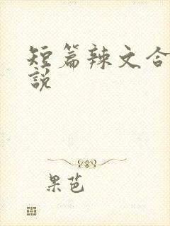 短篇辣文合集小说