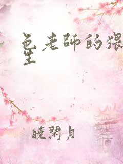 色老师的猥琐人生