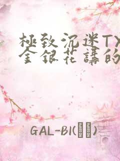 极致沉迷TXL金银花讲的什么
