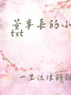 董事长的小王爷txt