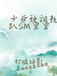 少爷被调教室跪趴SM男男