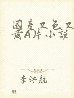 国产又色又爽又黄A片小说