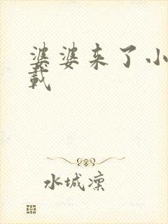 婆婆来了小说下载