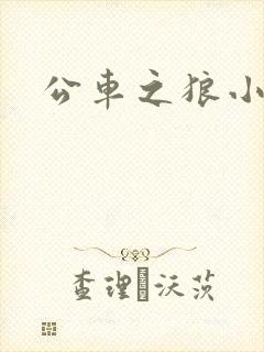 公车之狼小说
