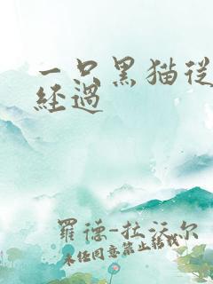 一只黑猫从眼前经过