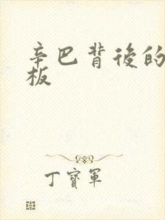 辛巴背后的人老板