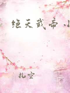 绝天武帝 小说