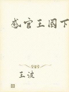 感官王国下载