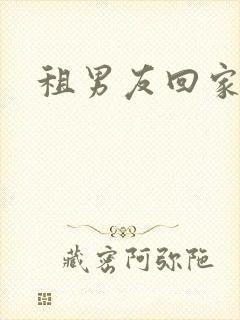 租男友回家过年