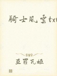 骑士风云txt