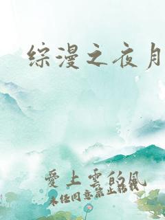 综漫之夜月