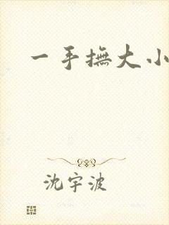 一手抚大小说