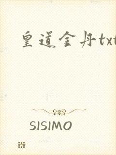 皇道金丹txt