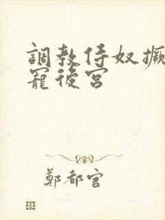 调教侍奴撅臀男宠后宫