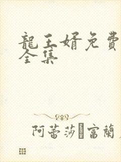 龙王婿免费完结全集