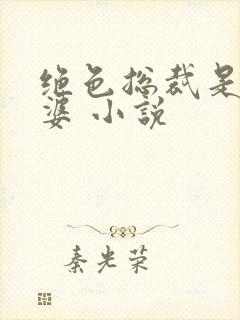 绝色总裁是我老婆 小说