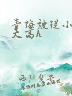 青梅被从小玩到大高h