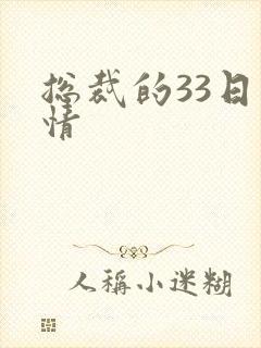 总裁的33日索情