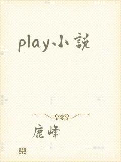 play小说