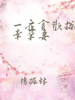 一夜贪欢总裁的幸孕妻