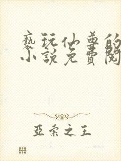 亵玩仙尊的道侣小说免费阅读