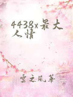 4438x最大人情