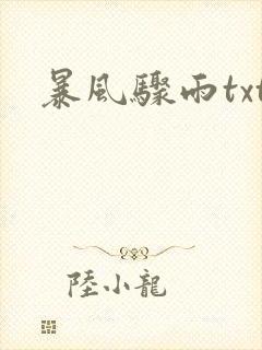 暴风骤雨txt