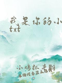 我是你的小小狗txt