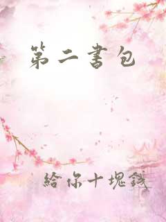第二书包