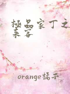 极品家丁之远方来客