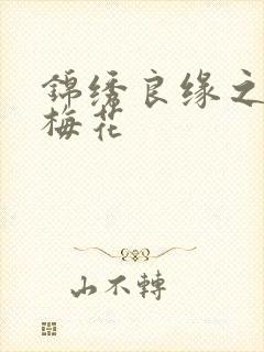 锦绣良缘之驿寄梅花